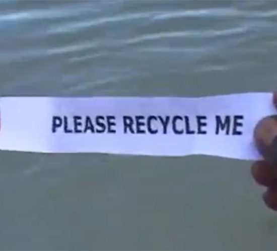 celebs-recycle